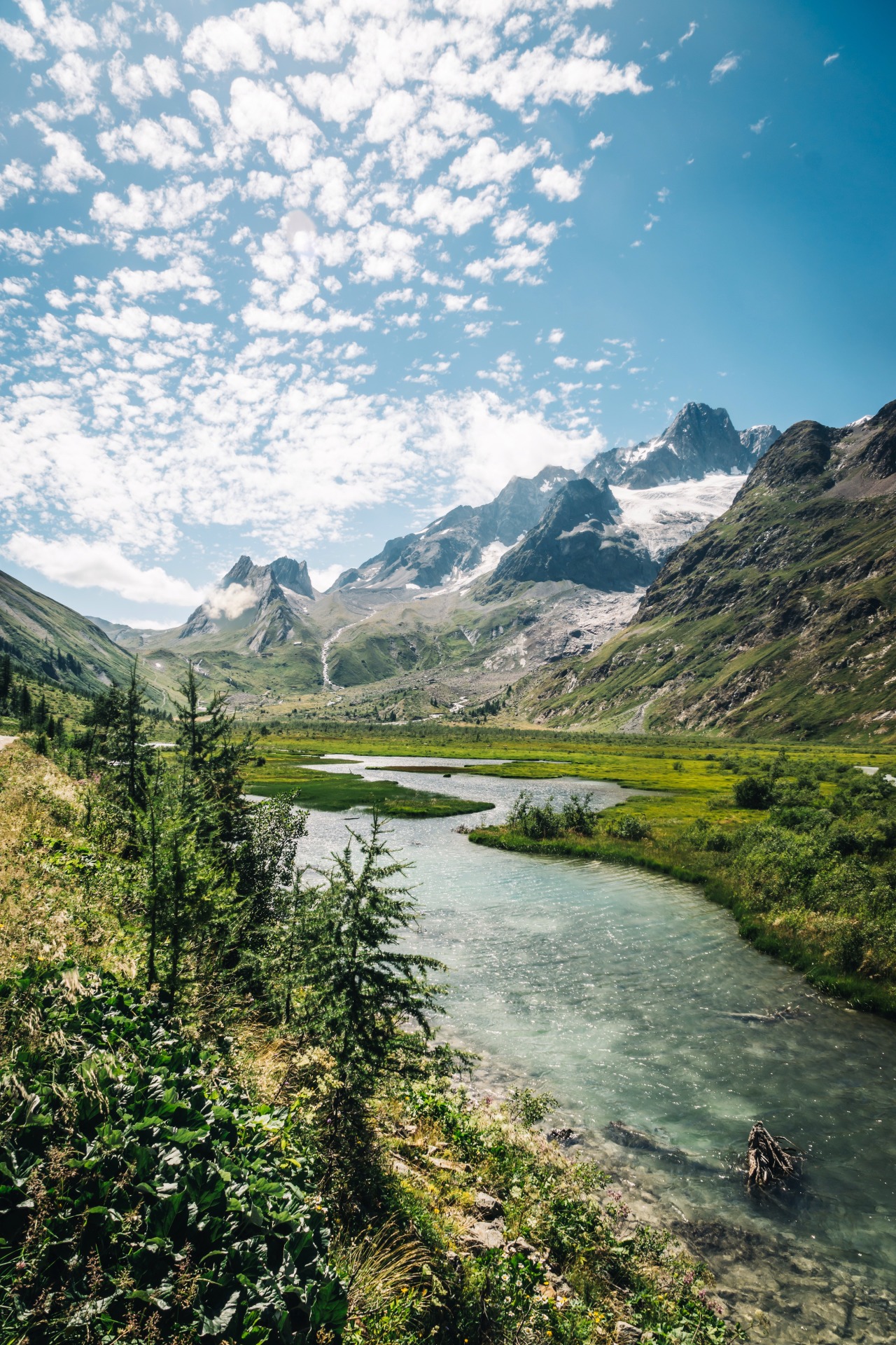 Stop & Smell the Roses — canipel: Vertical landscape. Pictures by: Shot...