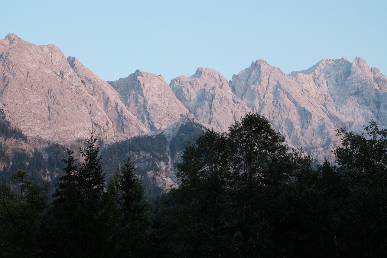 tristanconorholden:  A walk through the forest at dusk.