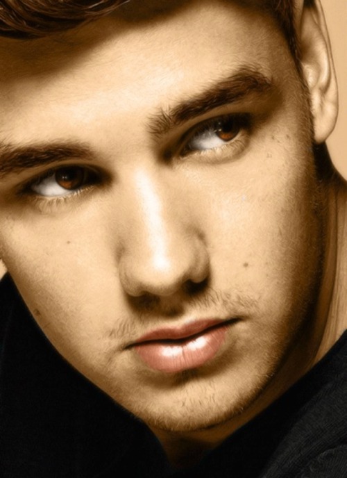 1dfanfictorforever:  I know that people are certain “girls" but come on u gotta like all the guys. I love him but there is more in the band then just harry 