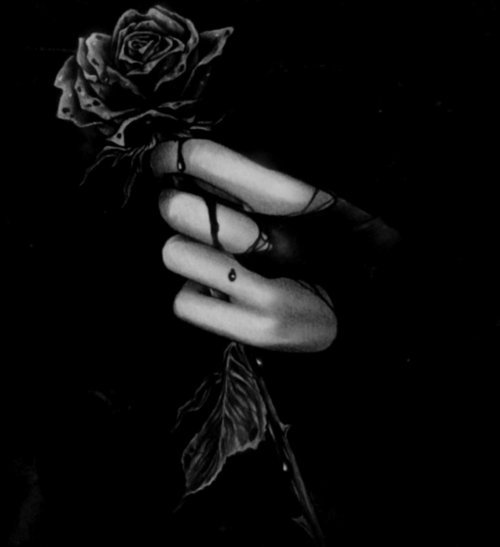 ispitrazorblades:  ~xx 