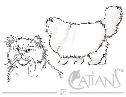 A character design for Catians! This is Pangur Ban, head of the Council of Cats. When he receives an