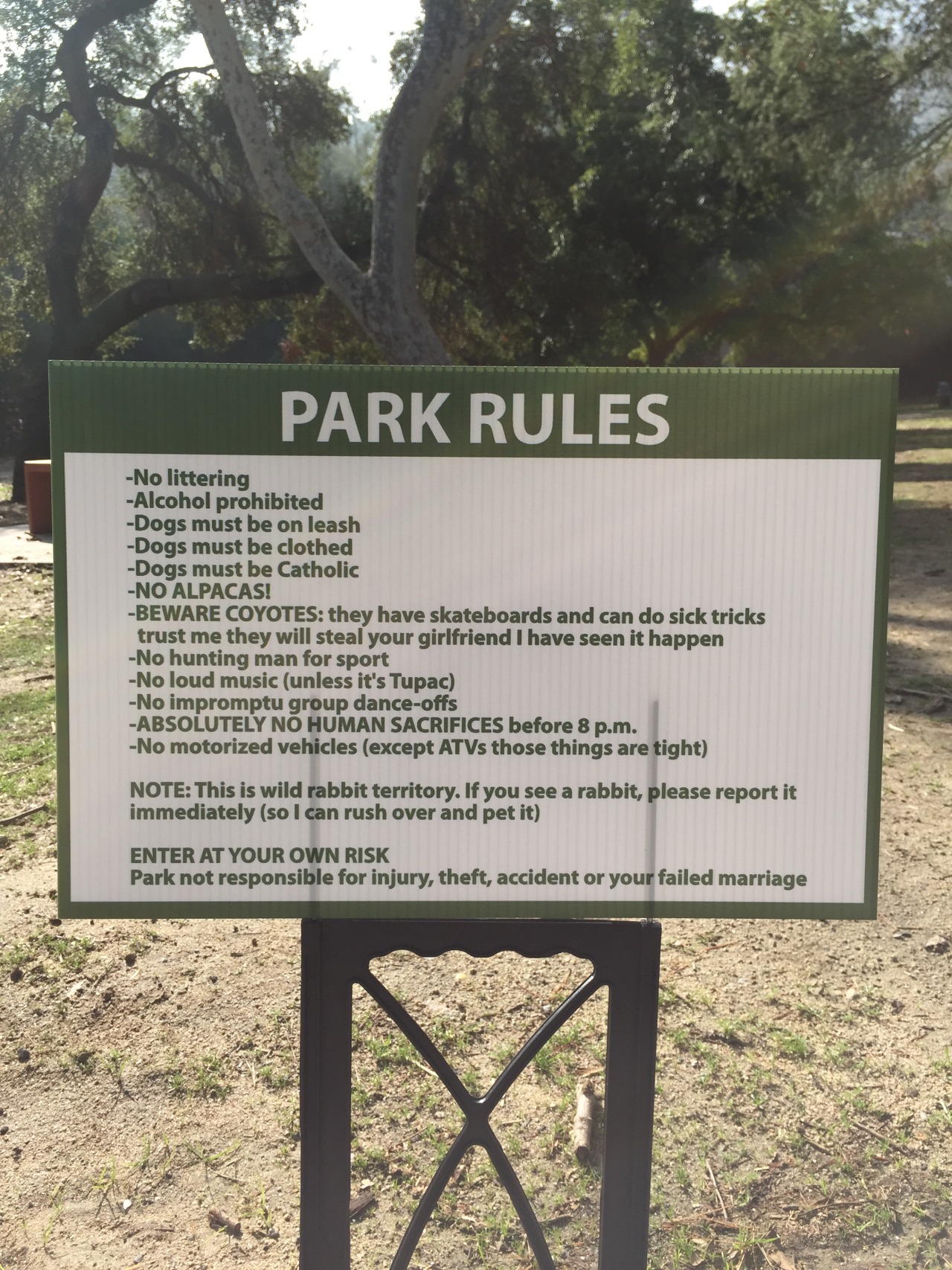 thefrogman:  obviousplant:  I added some rules to the park by my house  [tumblr |