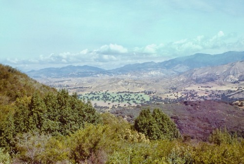 California Landscape in late Spring, near Santa Barbara, 1977.