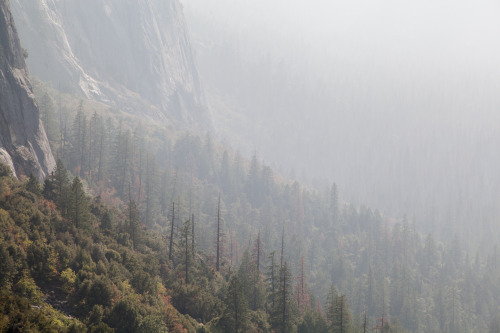 Yosemite National Park, CA.