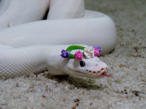 i-m-snek:  Leliana is here to spread peace adult photos