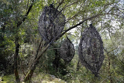 jedavu:  Forest Sculpture by Spencer Byles   This is seriously cool! Someone take me here!