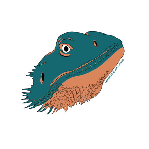 Drew a coworker’s beardie for another inktober installment!