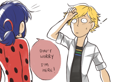 judin-seragaki:  ML Week - Day 7: (Nov 29th) LadyNoir/Adrinette/MariChat/Ladrien (Ladrien)Adrien is an adorable dork who needs ladybug’s attention at all times