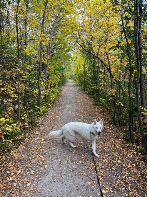 Lost In Autumn And I Dont Think Im Going To Find My Way Out, Life Is Better Here.