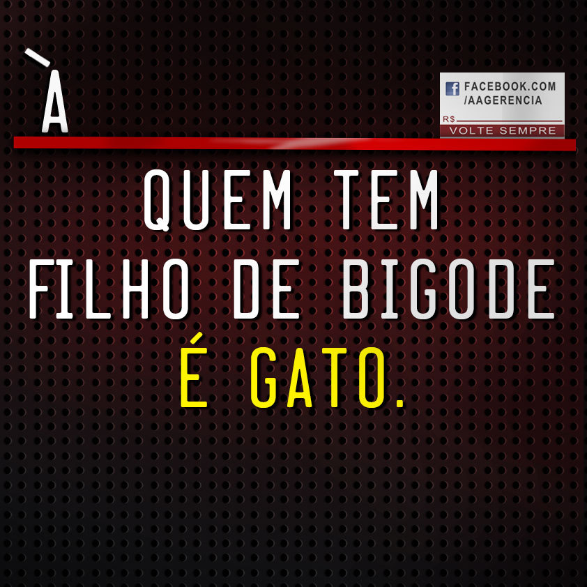 aagerencia:  Só sustentamos gatas.