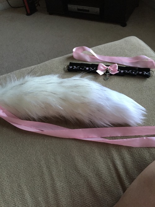 kittensplaypenshop:  lolita-fox:  This is going to be my official @kittensplaypenshop​ review for my two items: 18″ arctic fox tail w/ white tip and bubblegum ties and my Midnight (?) Sakura collar 12″ with a pentagram charm and pink crystal charm.