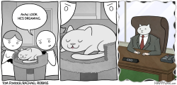 aneternalscoutandabrownie:  jamesmdavisson:  So far, I have been enjoying the Adventures of Business Cat a great deal, possibly more than is appropriate for an adult human. (All of these are from the webcomic Happy Jar) UPDATE: Now with more Business.