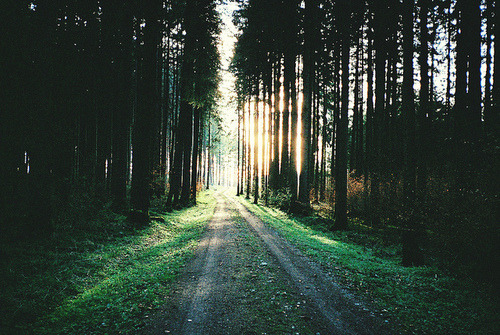 brutalgeneration:  greekg0ds: by amelie niederbuchner Tumblr on We Heart It. http://weheartit.com/entry/63398309/