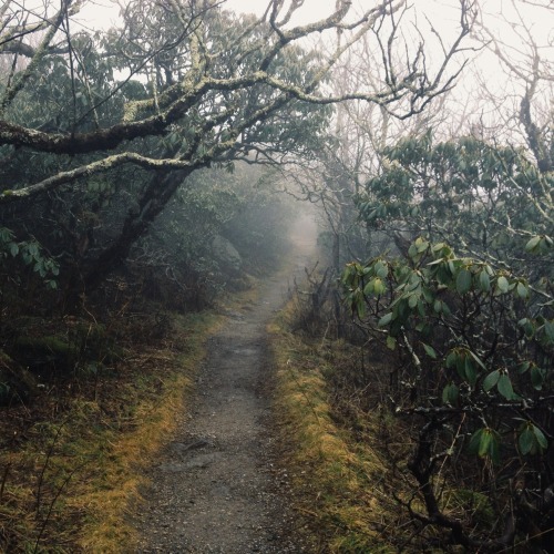 twostarsinonesphere:ounu:it was so incredibly eerie this morning though i am old with wandering