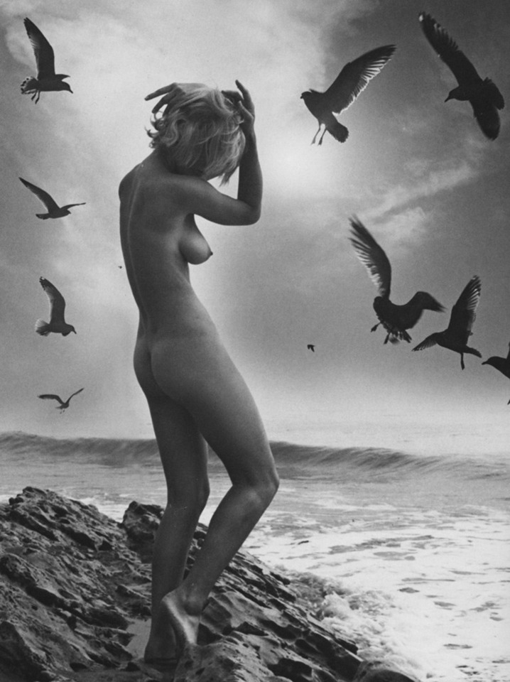 rumikokoyanagi:&ldquo;Best Nudes, Vol. 1&rdquo; Andre de Dienes &amp;