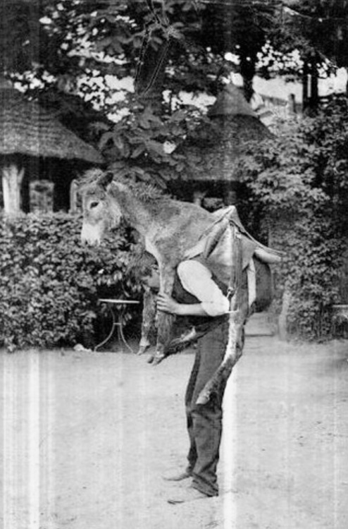 Homme portant un âne aux guinguettes du