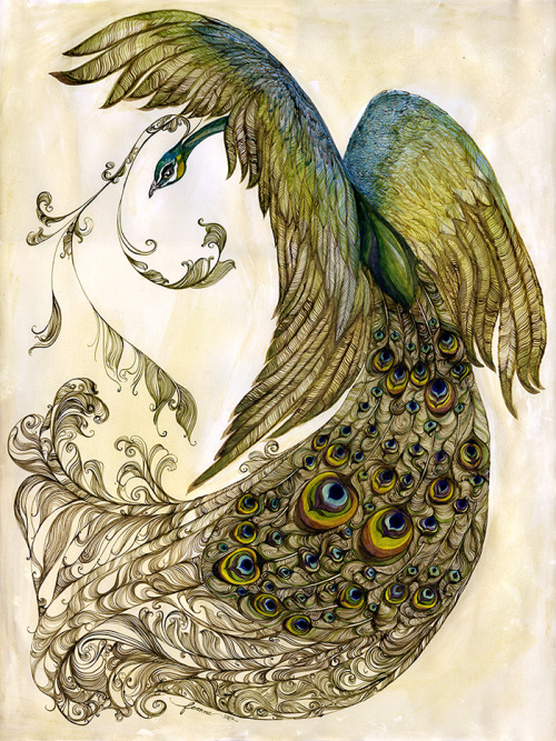 victoriousvocabulary:PAVONINE[adjective]1. of or resembling a peacock. 2. resembling a peacock’s tai