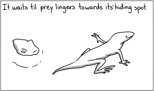 thesearabbitcomics:  So basically just camp for your food. Thanks nature. 