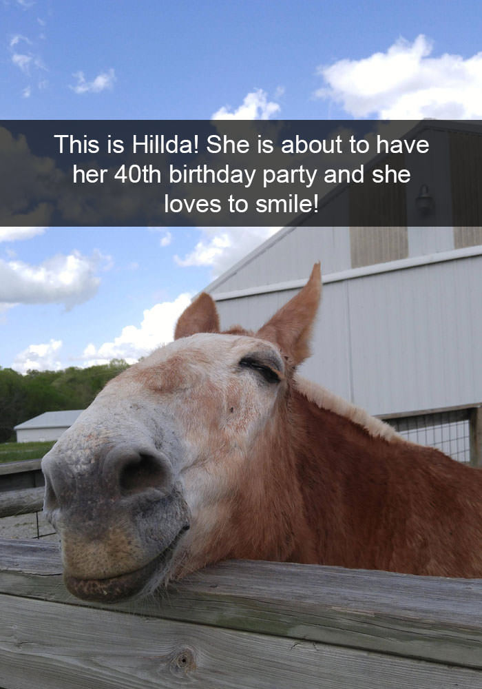 animalsnaps: Animal snaps