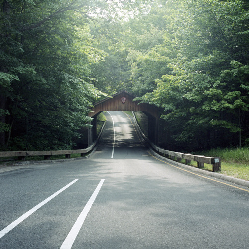 archenland: by Alex Jacque