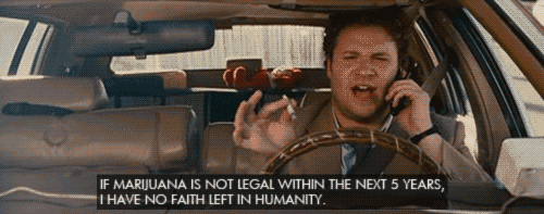 mysweetsoakedpanties:  wonderlandisheaven:  PINEAPPLE EXPRESS (i think this is the best opening ever)   One of my favorite movies
