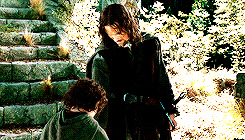 lois-lane:  Middle-earth meme ♔ [4/6] moments 