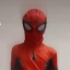spidermanirlyall