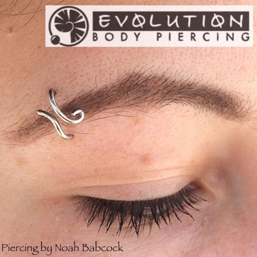 Healing #eyebrowpiercing with jewelry by #evolutionmetalworks and a bit of custom bending. Photograp