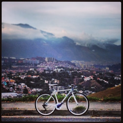chillingnotkilling:  Blanca, bienvenida a la familia. #pedaleando