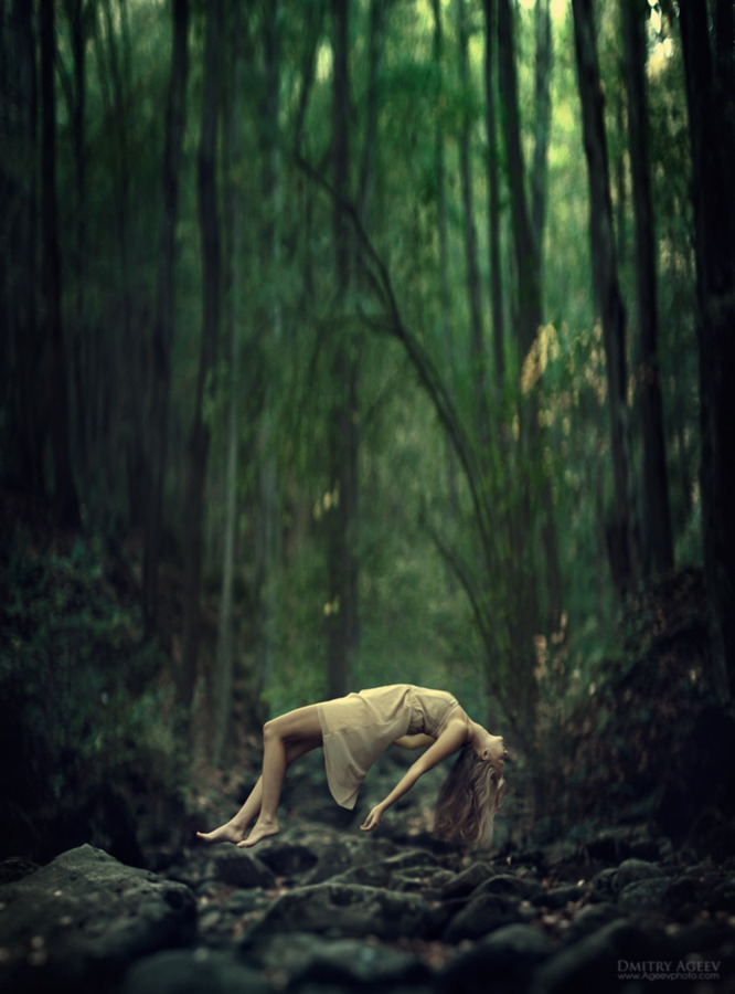 ausbluten:  by Dmitry Ageev 