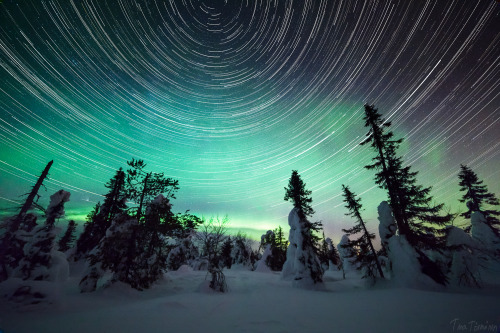 tiinatormanenphotography:Star trails.Winter 2013.Southern Lapland . by Tiina Törmänen