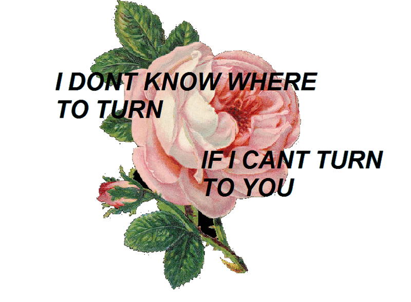 cause i'm a little unsteady