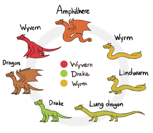 About DRAGONS in my world.Dragons are reptilian, fire breathing creatures that come in different sha