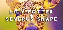 georqeweasleys-blog: Harry Potter characters and their p a t r o n u s e s. 
