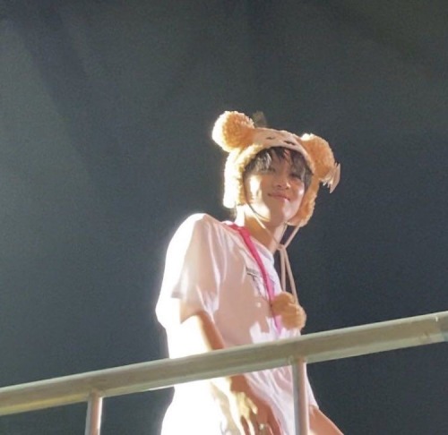 Our Cute Bear
