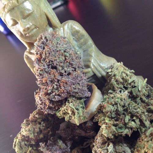 commoninterests:  Bathing in weed
