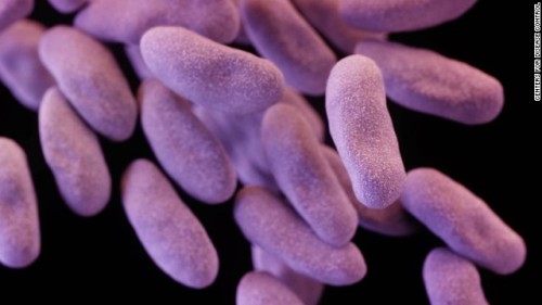 Clostridium Difficile