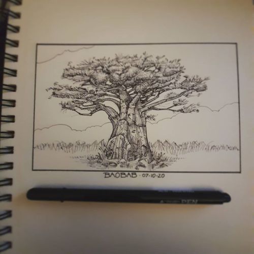 Baobab#onedayonedrawing #moleskine #sketch_daily #sketch #sketchbook #ink #365project #boceto #sketc