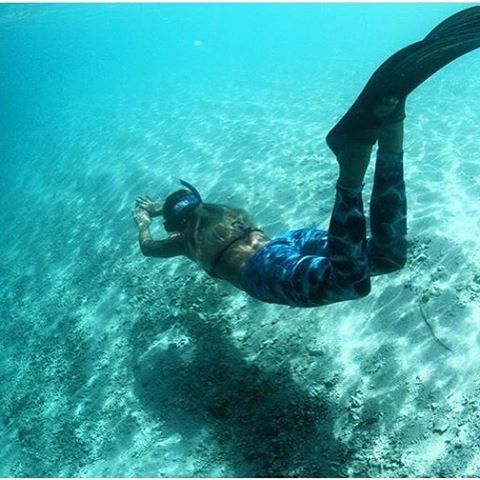 Life under the sea @_mermaid_vision_ @hollywoodhoy #divelikeagirl #diving #intothedeep