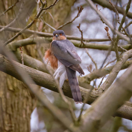 XXX besidethepath:  Take-off photo