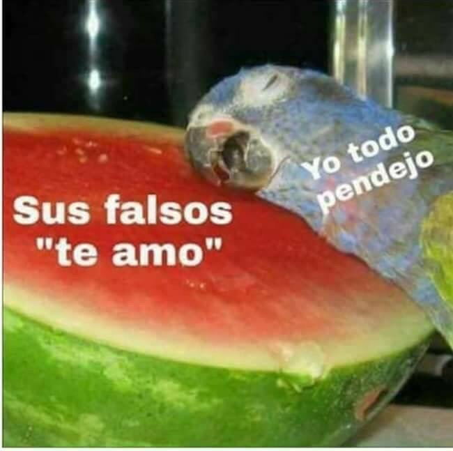 🕊