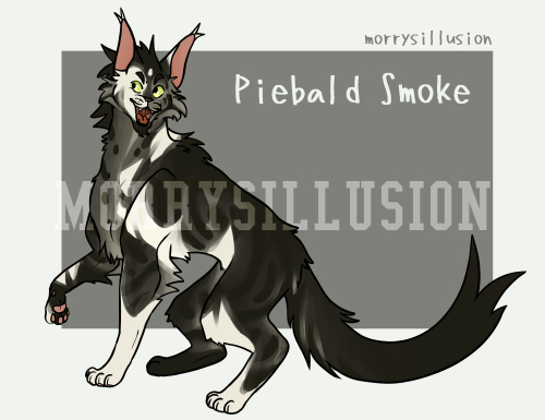 morrysillusion:Smokey cat adopts!!!Frosty Smoke - CLOSED | $30River Smoke - CLOSED | $30Piebald Smok