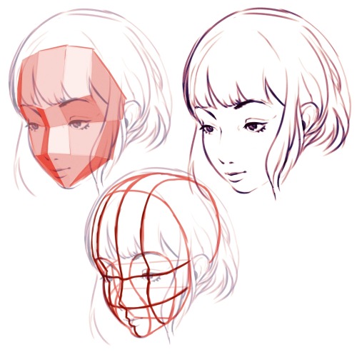 face studie