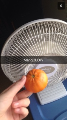 teddysfotos:  holysheerios:  holysheerios:  teddysfotos:  i just  I’m so sorry  PLEASE STOP REBLOGGING THIS I DONT REALLY KNOW WHAT A MANGO IS BUT IT SEEMED LIKE A GOOD IDEA AT THE TIME   