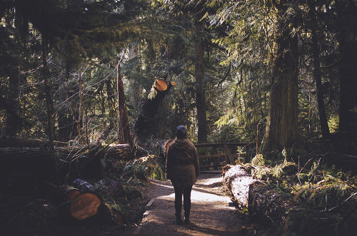 deeplovephotography:Walking with giants >> Cathedral Grove, Vancouver Island  instagram | flickr | facebook