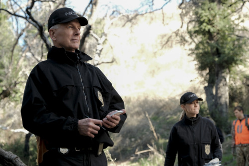 tulijaa:“17x15- Lonely Hearts” – The lead suspect in an NCIS murder investigation is a woman Gibbs’ 