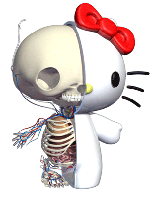 puddingemoji: Hello Kitty Anatomy Half 360