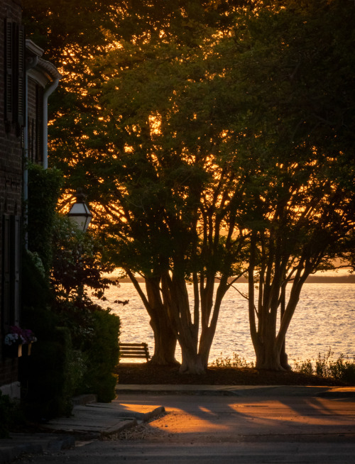 Morning Light along Waterfront Park, Charleston Harbor, Charleston, SC© Doug Hickok   More here&hell