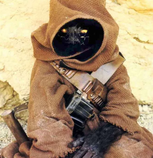 talesfromweirdland:What do Jawas look like without their hoods on? These pics give a clue.