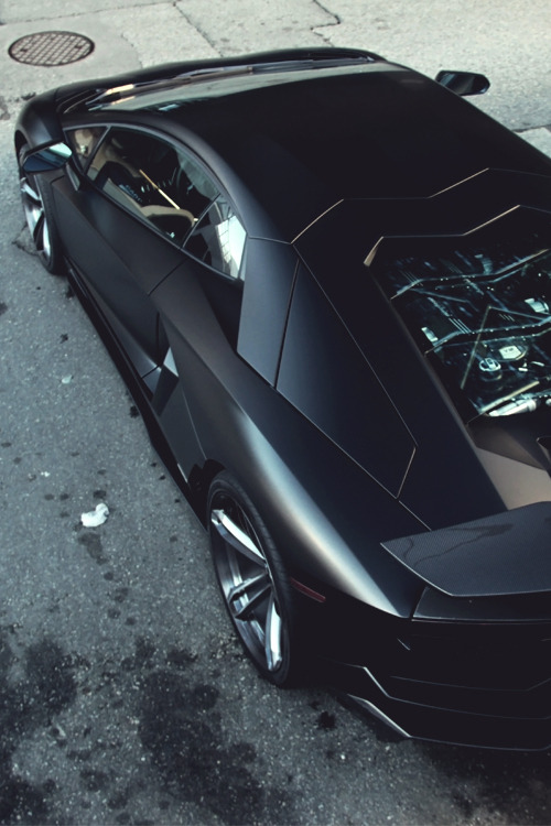 Highlife Pursuit